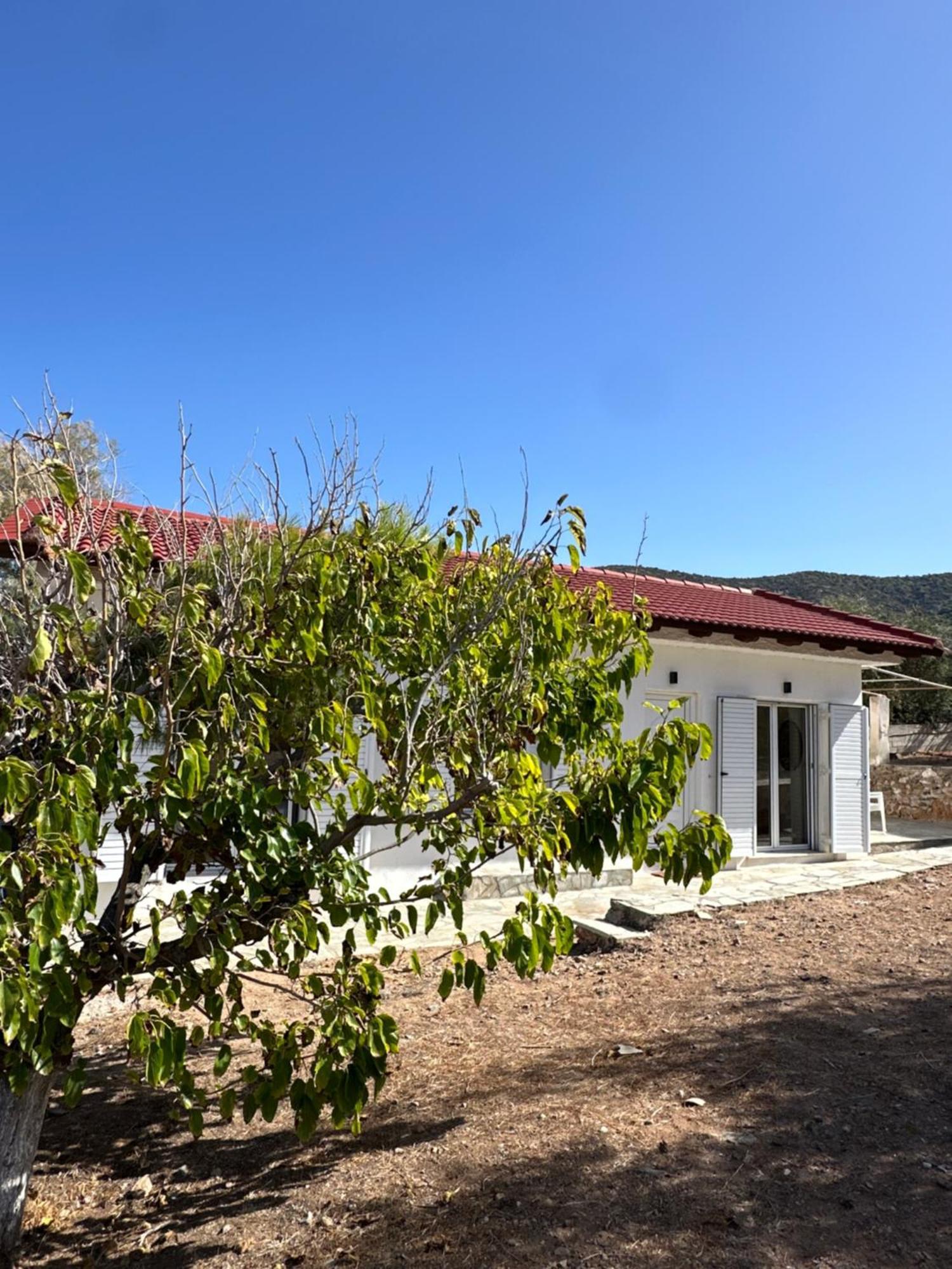Coast Cottage Porto Rafti-Avlaki المظهر الخارجي الصورة